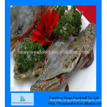 Frozen live crab seafood